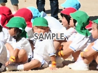 代替テキストをご記入ください