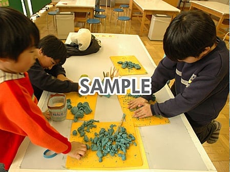代替テキストをご記入ください