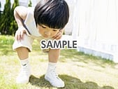 代替テキストをご記入ください 代替テキストをご記入ください