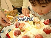 代替テキストをご記入ください 代替テキストをご記入ください