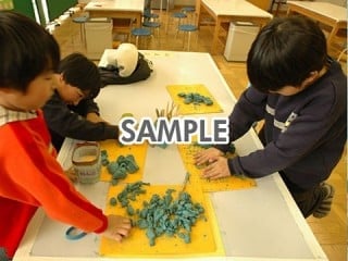 代替テキストをご記入ください