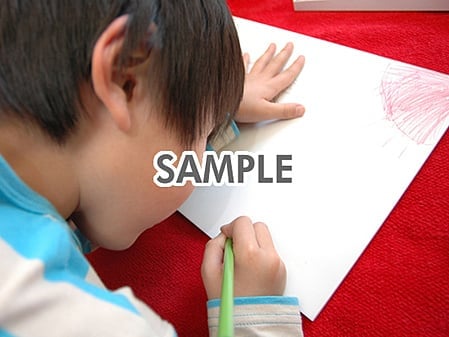 代替テキストをご記入ください