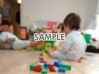 代替テキストをご記入ください