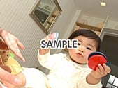 代替テキストをご記入ください