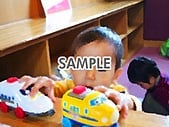 代替テキストをご記入ください