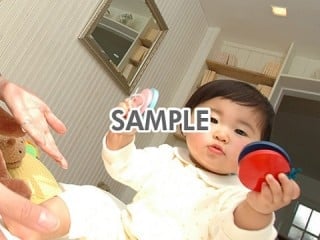 代替テキストをご記入ください 代替テキストをご記入ください