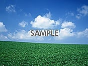 代替テキストをご記入ください 代替テキストをご記入ください